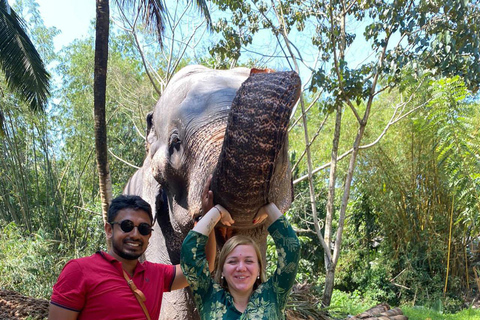 Tour della città di Kandy in Tuk TukTour della città di Kandy