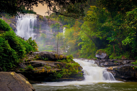 Chiang Mai : Rizières en terrasses de Pa Bong Piang et Doi Inthanon