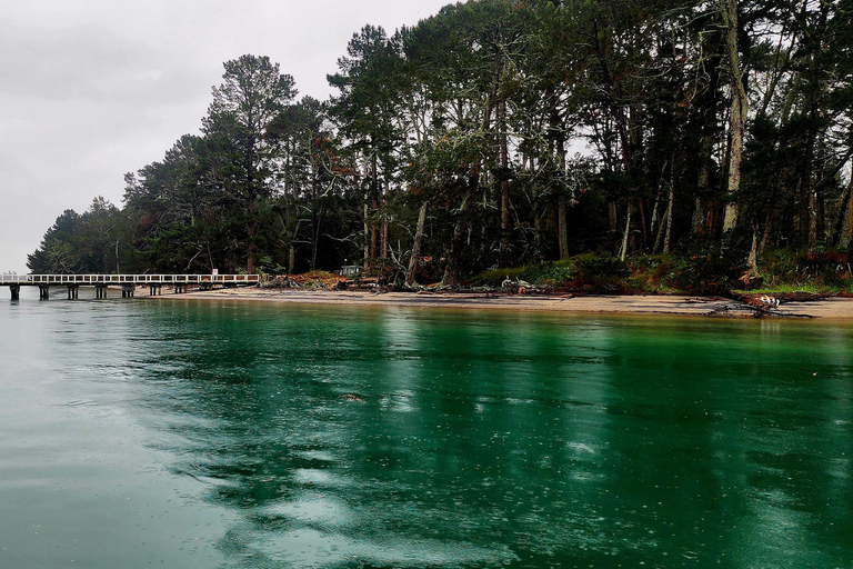 Cruzeiro no porto de Tauranga