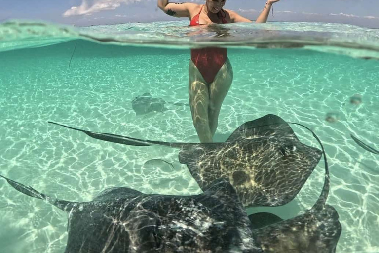 Essential Cozumel: Turquoise Sea, Snorkeling and El Cielo Beach Cozumel Essentials: Turquoise Sea, Snorkeling, and El Cielo Beach