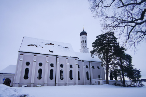 Vanuit München: Neuschwanstein en kerstmarkttour München