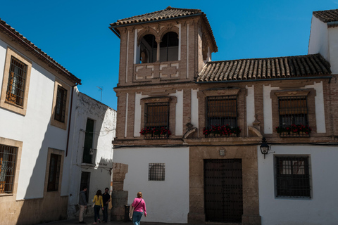 Córdoba Mid-Morning Walk - Small Groups, Native English.