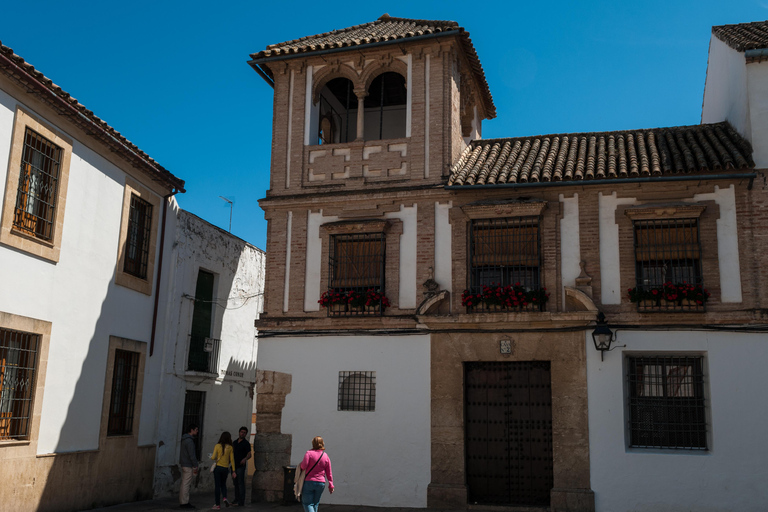 Paseo de media mañana por Córdoba - Grupos reducidos, inglés nativo.