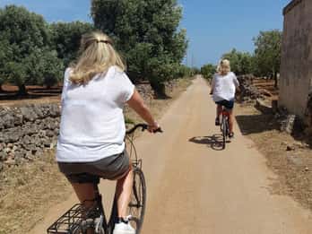 Bike Tour among the Ancient Olive Trees with EVO Oil Tasting