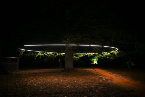 Porto: Serralves Em Luz Immersive Light Show Entry Ticket
