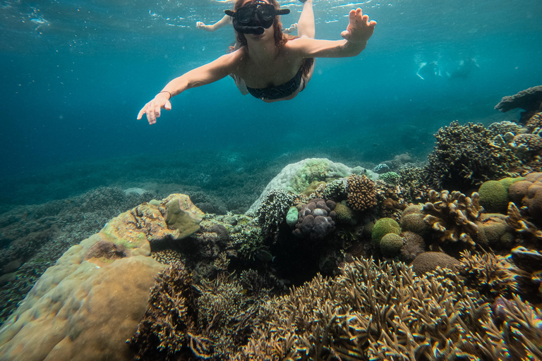Nusa Penida: Snorkeling 3 Spots with GoPro & West Land Tour Snorkeling 3 Spots with West Land Tour - Meet at Penida Port