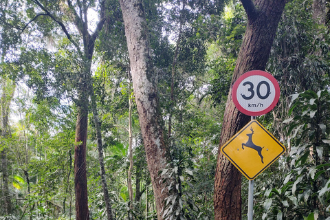 Watervallen en grottenpad in het Tijuca bos