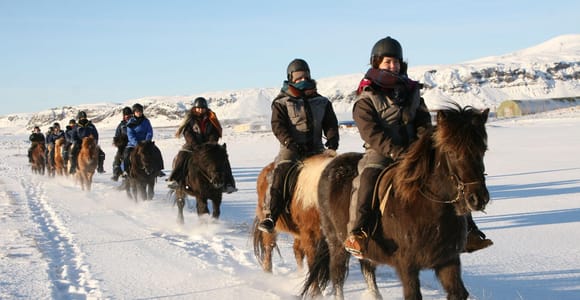 From Reykjavik: Full-Day Horse Riding & Golden Circle Tour