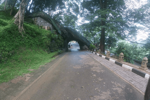 Sri Lanka : Circuit d&#039;aventure panoramique de 12 jours