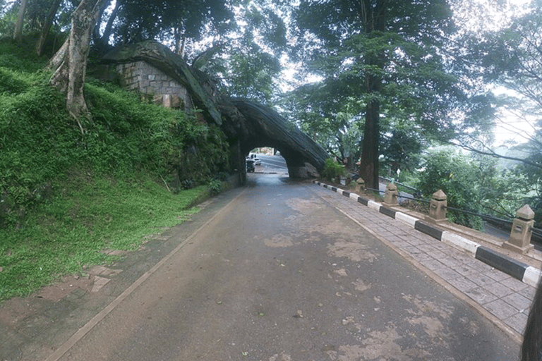 Sri Lanka 4-Day Kandy &amp; Nuwara Eliya Tea &amp; Hill Country Tour