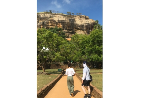 Van Arugambay: dagtocht naar Sigiriya, de Leeuwenrots