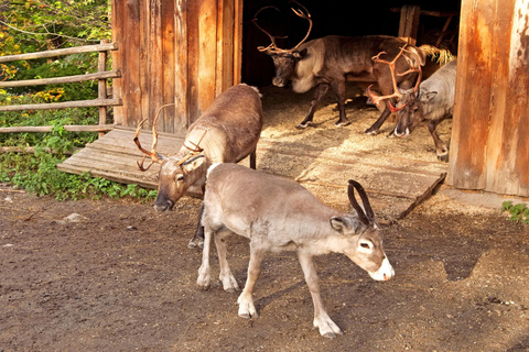 Vasa Museum & Skansen Stockholm Tour met Fast-Track Ticket2 uur: Vasa Museum Tour (Geen transfer)