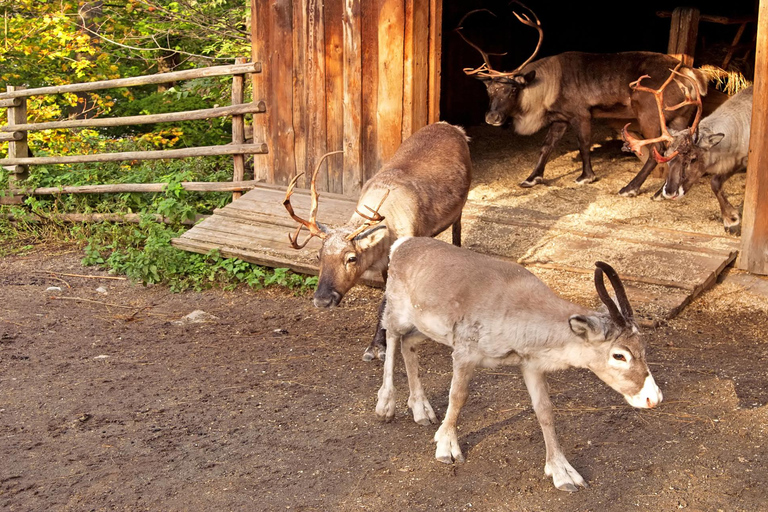 Vasa Museum & Skansen Stockholm Tour met Fast-Track Ticket2 uur: Vasa Museum Tour (Geen transfer)