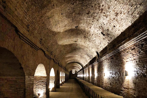 Z Santiago: Wycieczka do winnicy Viña Santa Rita z transferem