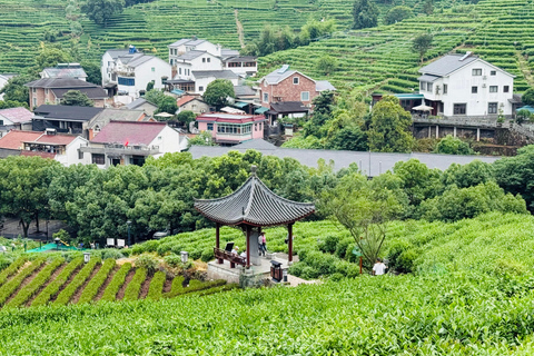 Hangzhou Tea Ceremony Tea Ceremony+Tea Farm