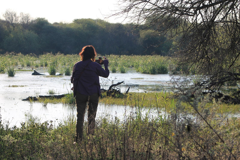 Gaborone: City Tour with Game Drive and Tswana Cuisine