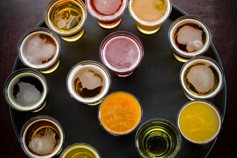 Riga: 14 Beers Tasting Experience - Aussie Backpackers Bar