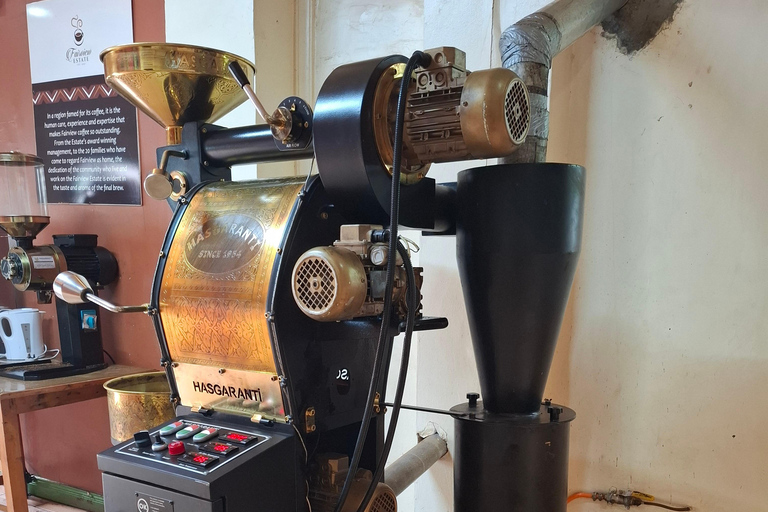 TOUR GIORNALIERO DELLA FATTORIA DEL CAFFÈ FAIRVIEW