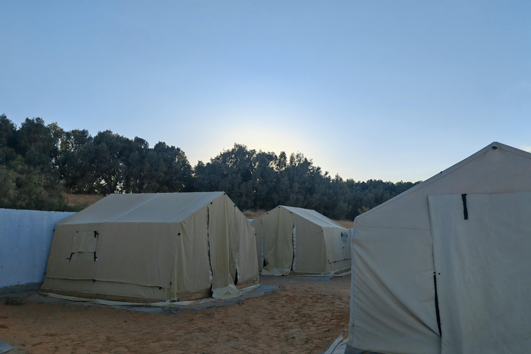 Djerba: Eine Nacht in Berberzelten.