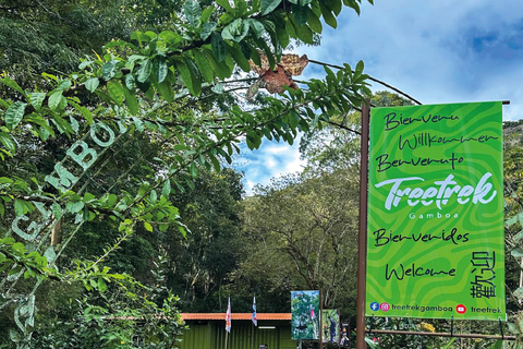 Panama City: Canopy, a 10-line adventure circuit, Gamboa