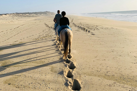 St Lucia: Private Sunset Beach Horse Ride + Pickup available