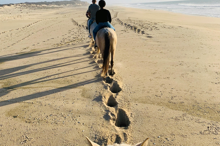 St Lucia: Private Sunset Beach Horse Ride + Pickup available