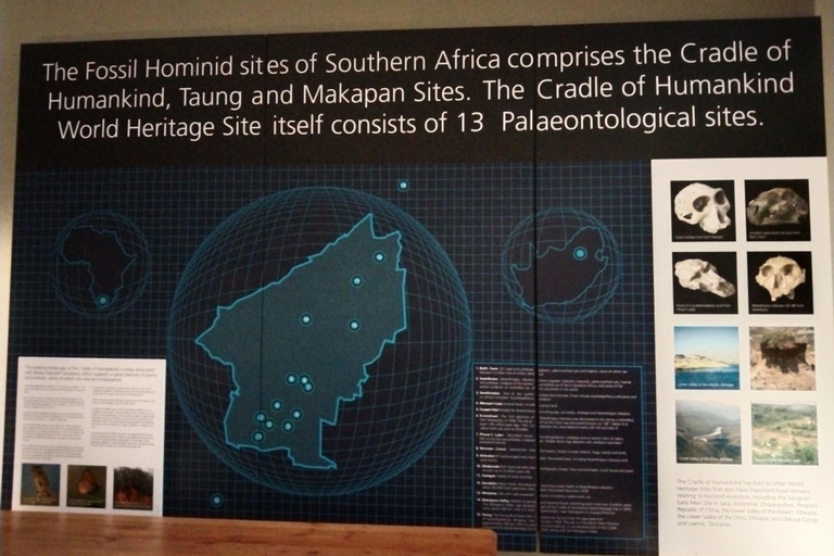 Cradle of humankind tour departing form Johannesburg