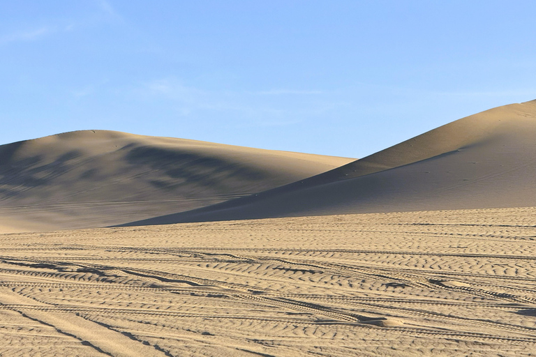 From Lima: Ballestas Islands & Huacachina Dune Buggy Tour Paracas & Huacachina: Hotel Pickup & Bilingual Guide