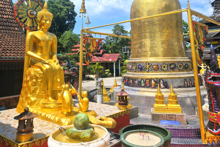 Khao Lak Hidden Gems - (Canoes, Turtles, and Temples)