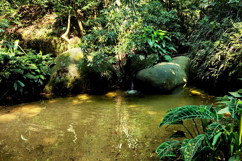 Rio de Janeiro: Tijuca Caves Guided Hike with Park Entry