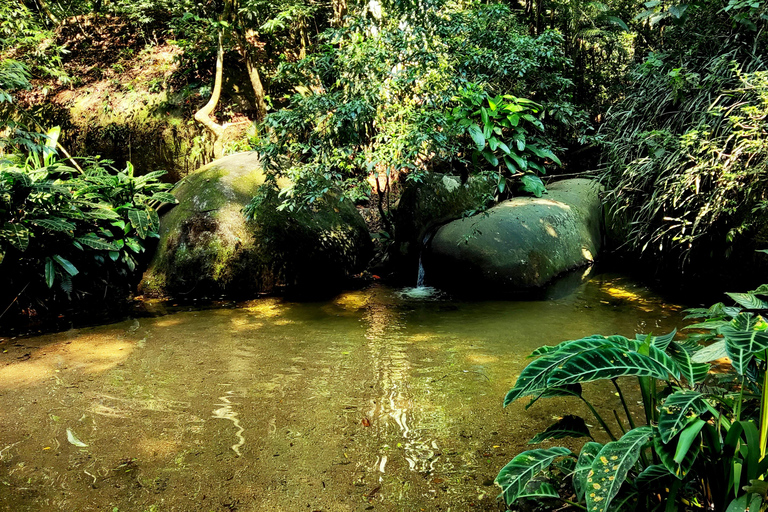 Rio de Janeiro: Tijuca Caves Guided Hike with Park Entry