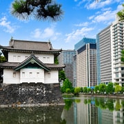 Tokyo: Imperial Palace and Shogun Walking Tour