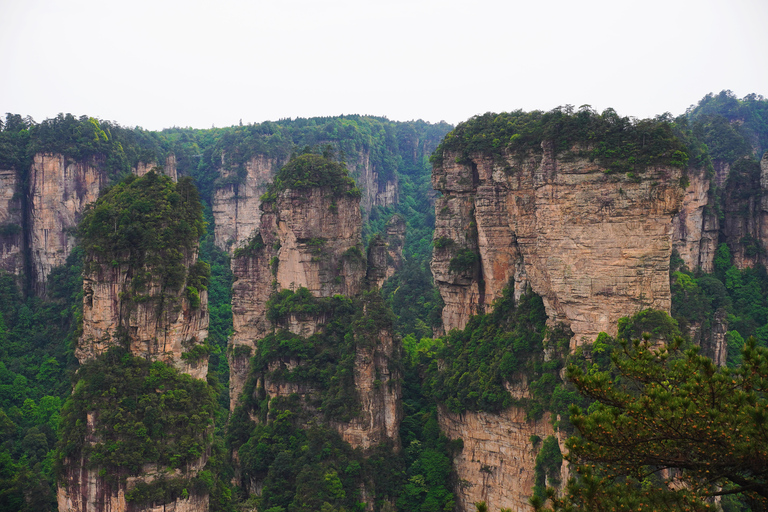 Zhangjiajie: Avatar Forest Park Group Tour or Ticket Big Group Tour with English Guide & Entry Ticket (11-16 ppl)