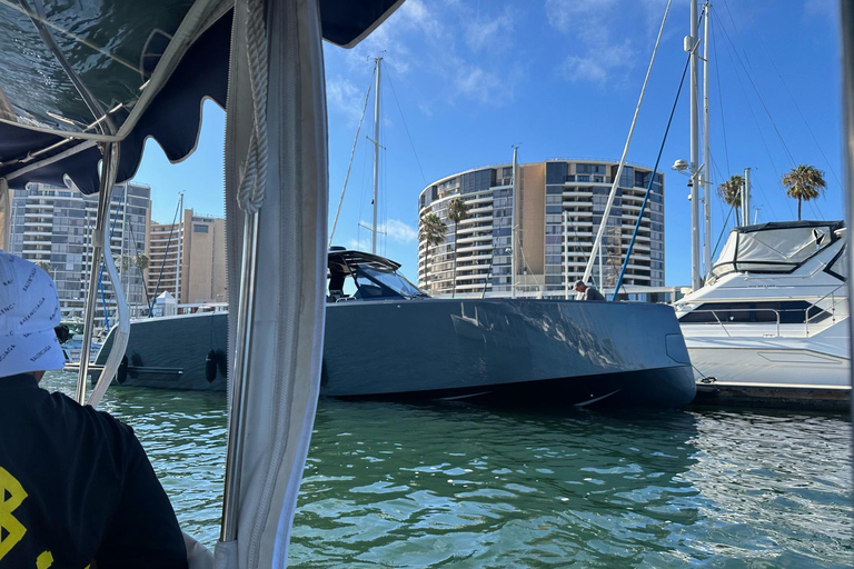 Marina del Rey: Yachts of the Rich and Famous Tour