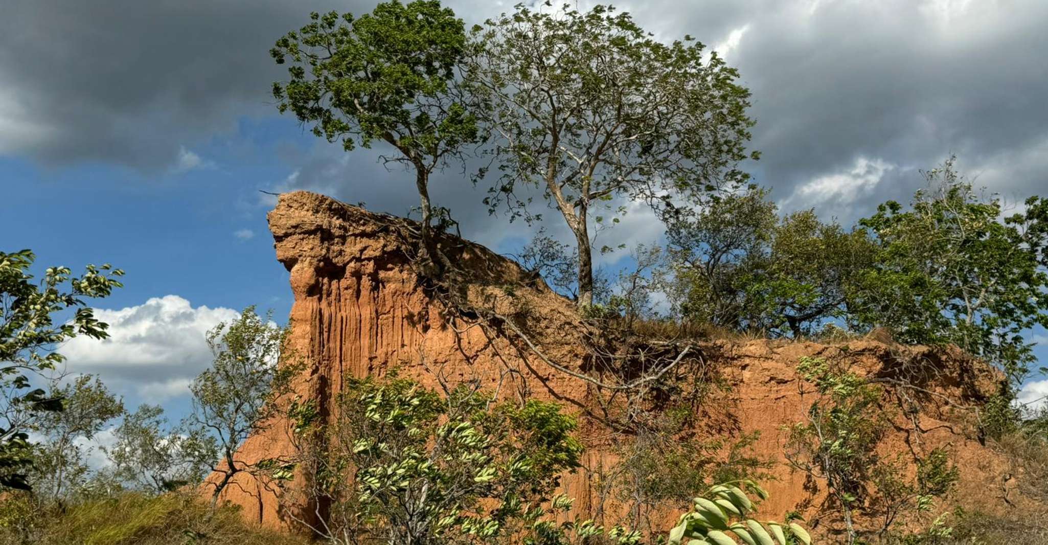 4- hour hiking tour in two different tropical worlds - Housity