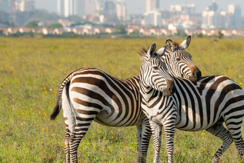 Nairobi: Helicopter Tour with Wildlife and City Views For Group of 3