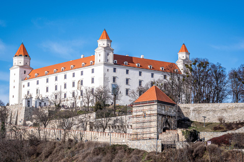 UFO Observation Deck Bratislava Private Tour with Admission