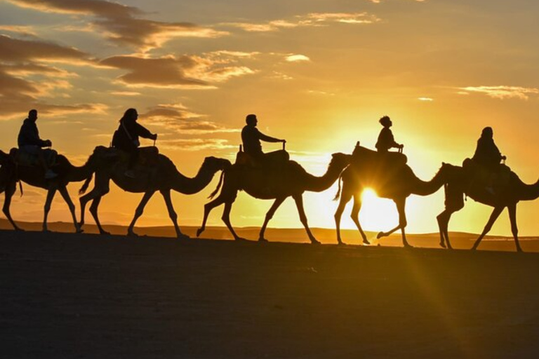 Marrakech: Agafay Desert Quad, Camel Ride & Dinner Fire Show