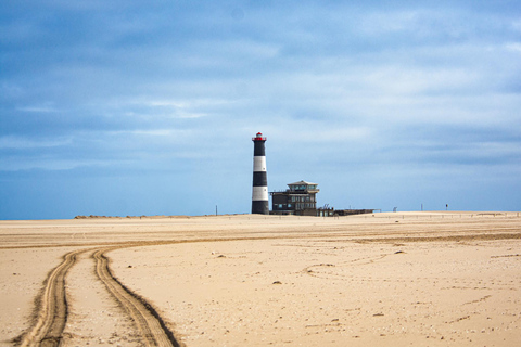 Walvis Bay: Pelican Point Birding e tour della foca del Capo