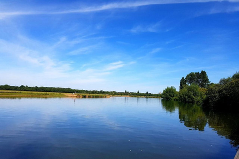 Oxford: Tour guidato a piedi di Jericho e Port Meadow