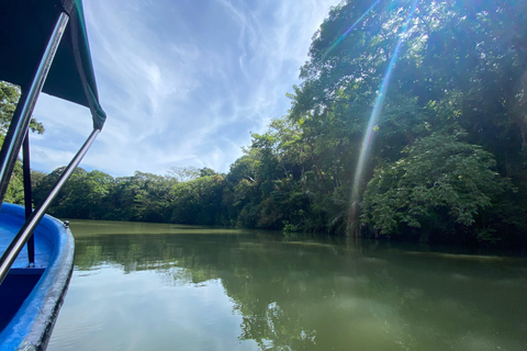 Canal do Panamá: passeio particular de barco e vida selvagem no Lago Gatun