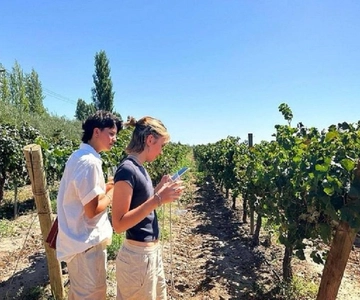 Mendoza: Full day tour visit and tasting - 3 wineries
