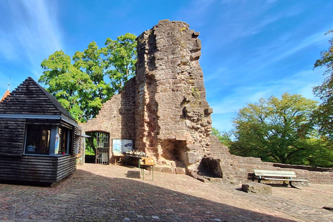 Heidelberg: Neckar River, Cave, Odenwald – Active Highlights Discovery Tour