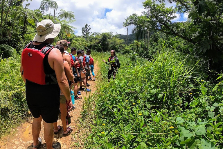 San Juan: El Yunque Rainforest en Bio Bay Combo Tour