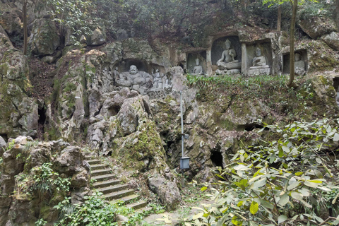 Hangzhou & Wuzhen Water Town 2-Day Tour from Shanghai