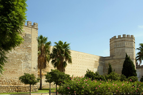 Jerez: Stadsrondleiding met gids en het Alcazar