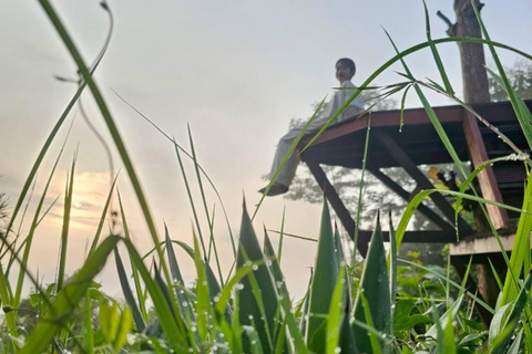 Yogyakarta: Borobudur Temple & Setumbu Hill Sunrise Tour