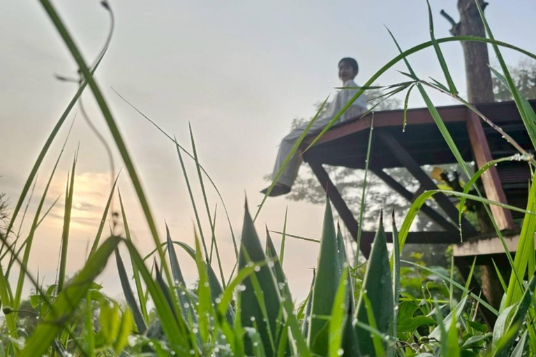 Yogyakarta: Borobudur Temple & Setumbu Hill Sunrise Tour