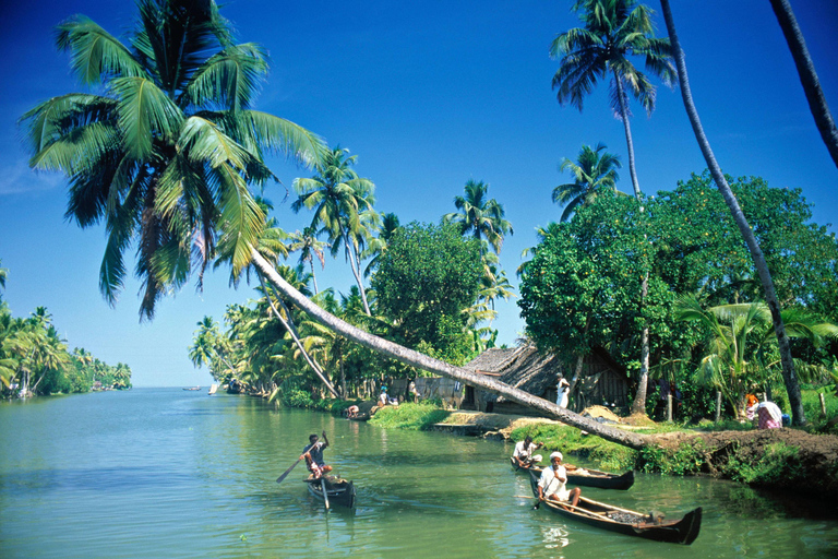 5-Day Kerala Highlights Tour with Overnight Houseboat Stay 3 Star Hotel Accommodation