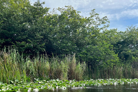 Everglades: on Flat Propelled Boat with Transportation